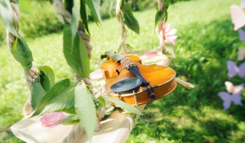 Violin on Wooden Swing