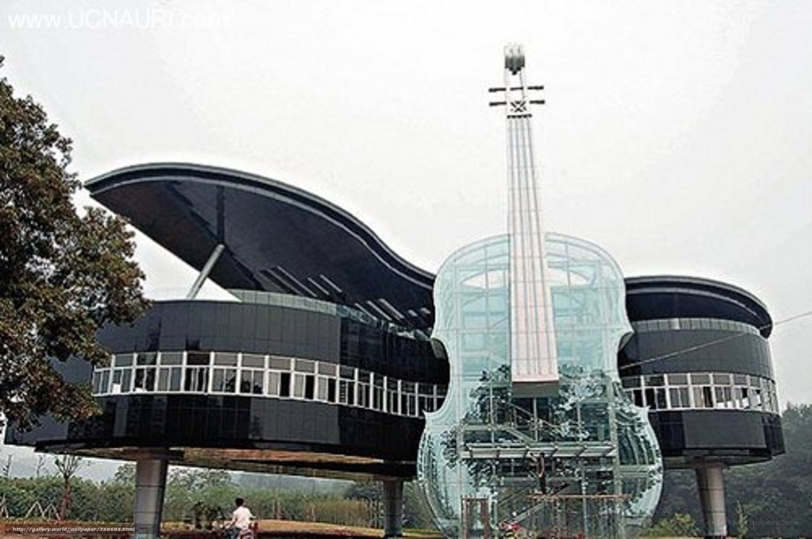 violin-shaped building