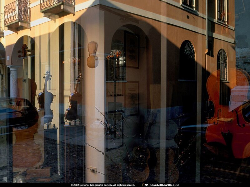 Violin shop window reflection