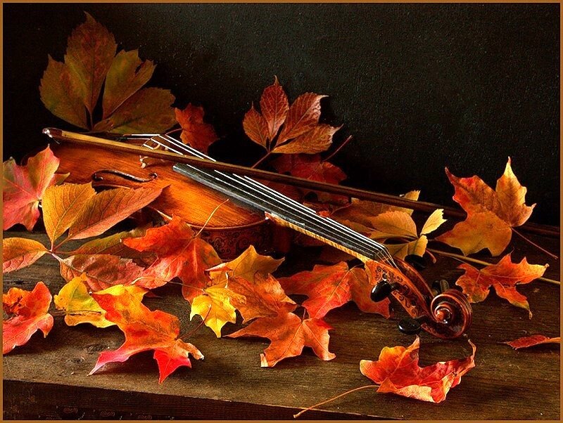 Violin with Autumn Leaves
