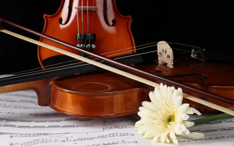 Violin with Bow and Flower