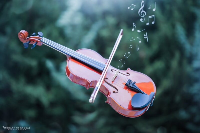 Violin with Bow — Brown, Serene