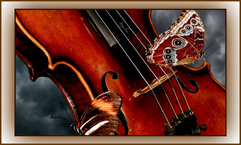 Violin with Butterflies — Brown