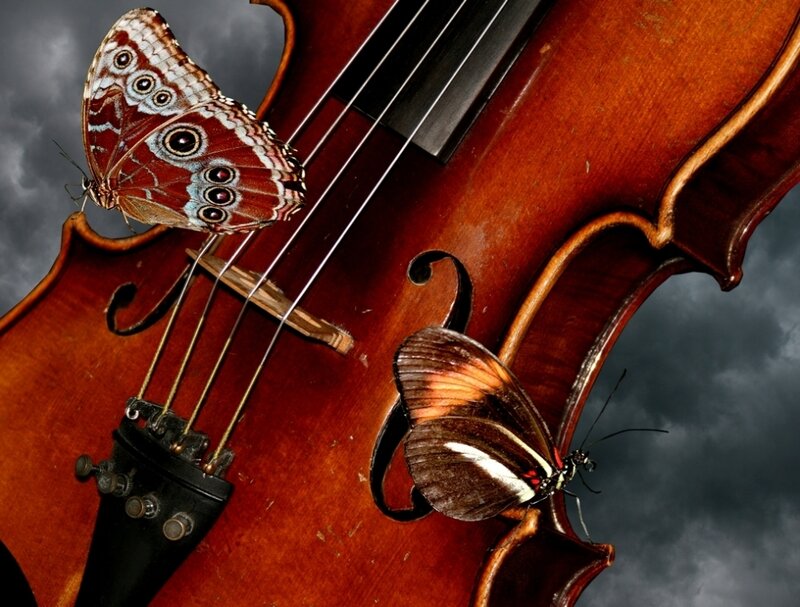 Violin with butterflies