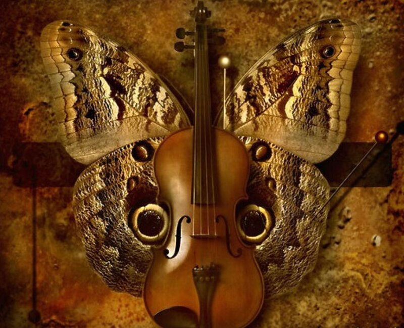 Violin with butterfly wings