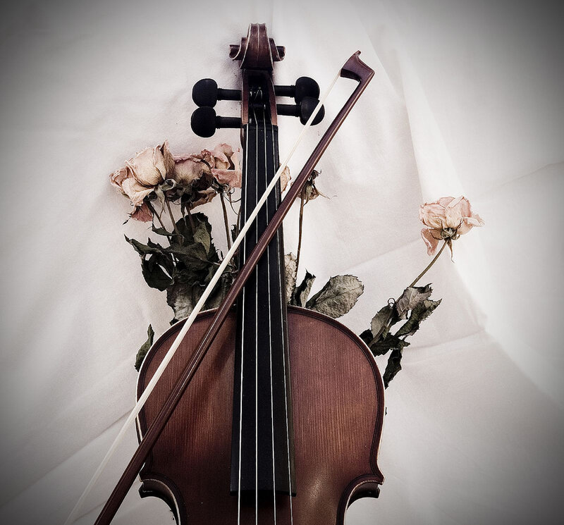 Violin with Dried Roses