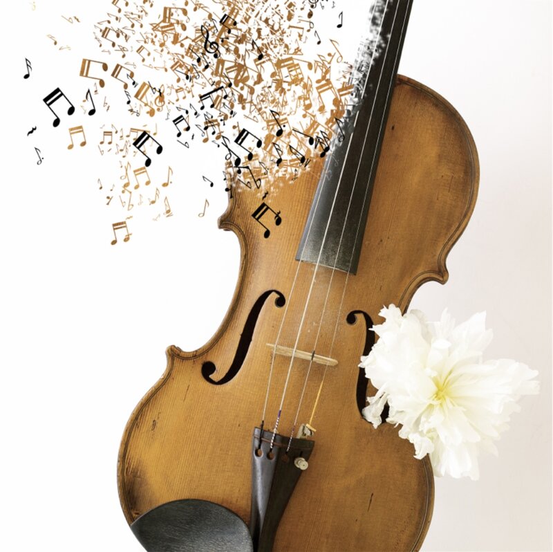 Violin with Flower — Brown