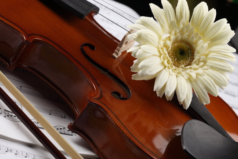 Violin with Flower