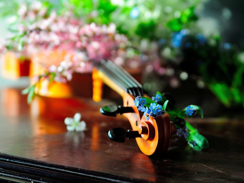 Violin with Flowers — Brown, Serene, Spring