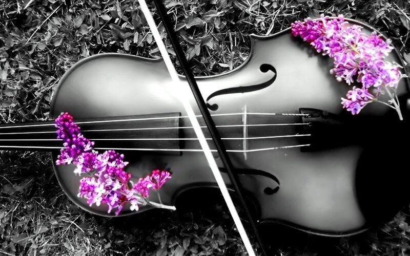 Violin with Flowers