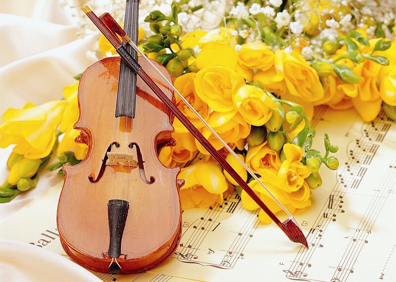 Violin with Flowers — Yellow