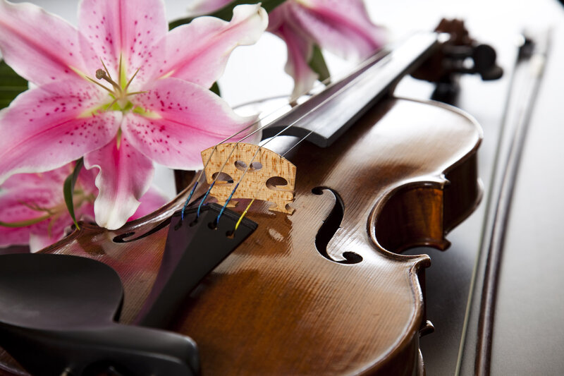 Violin with Lilies