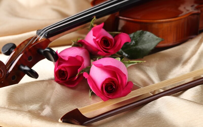 Violin with Pink Roses