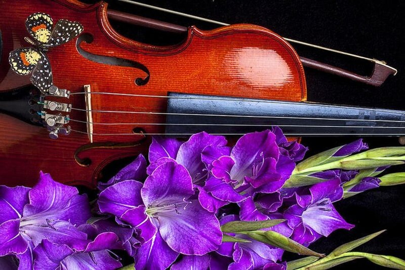 Violin with Purple Flowers — Dramatic