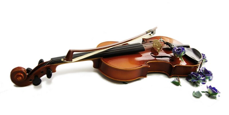 Violin with Purple Flowers
