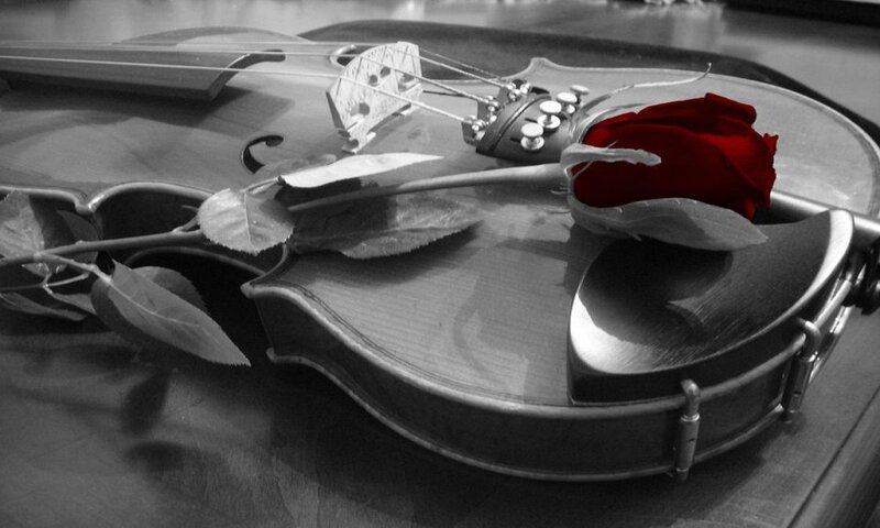 Violin with Red Rose — Black, Dramatic, Photograph, Leaf, Strings