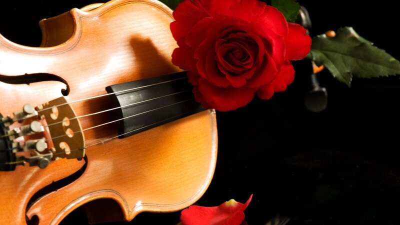 Violin with Red Rose — Dramatic, Photograph, Leaf