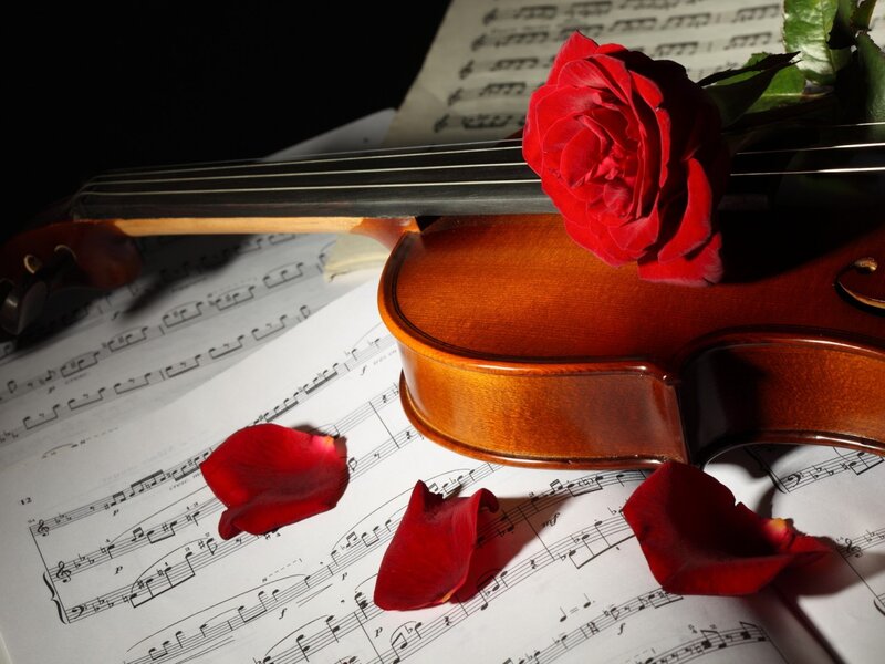 Violin with Red Rose — Dramatic, Photograph, Sheet Music
