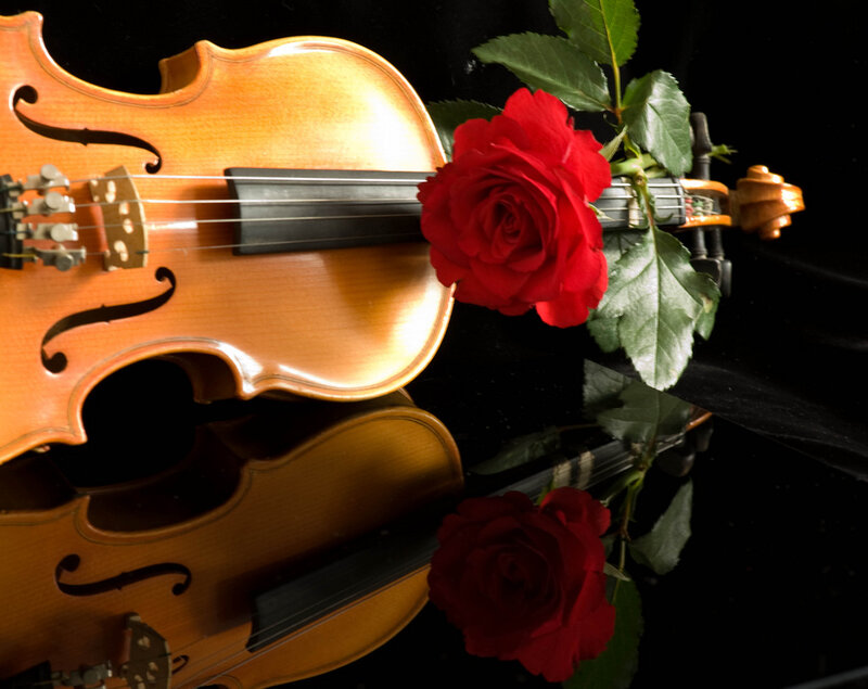 Violin with Red Rose — Dramatic, Photograph, Strings