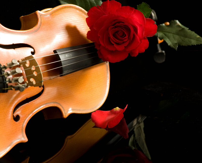 Violin with Red Rose — Dramatic, Photograph