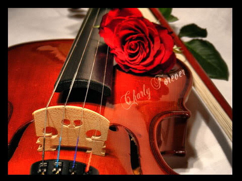 Violin with Red Rose — Romantic, Photograph, Strings, Case