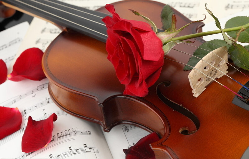 Violin with Red Rose — Romantic, Photograph