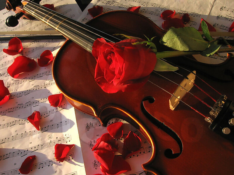 Violin with Red Rose — Romantic, Sunset