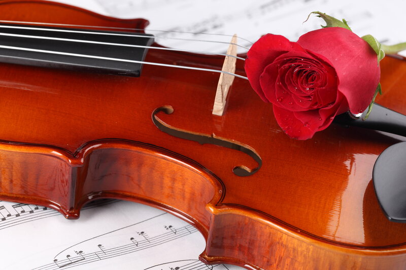 Violin with Red Rose — Romantic