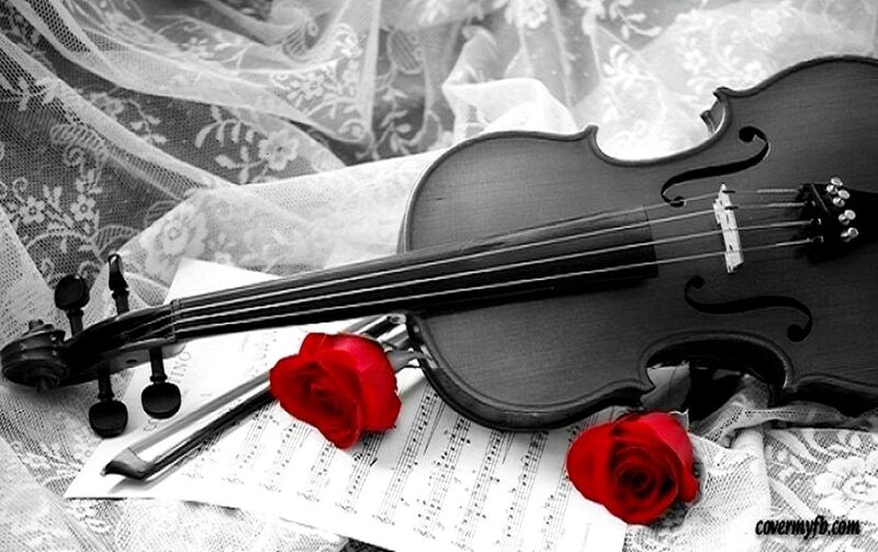 Violin with Red Roses — Black