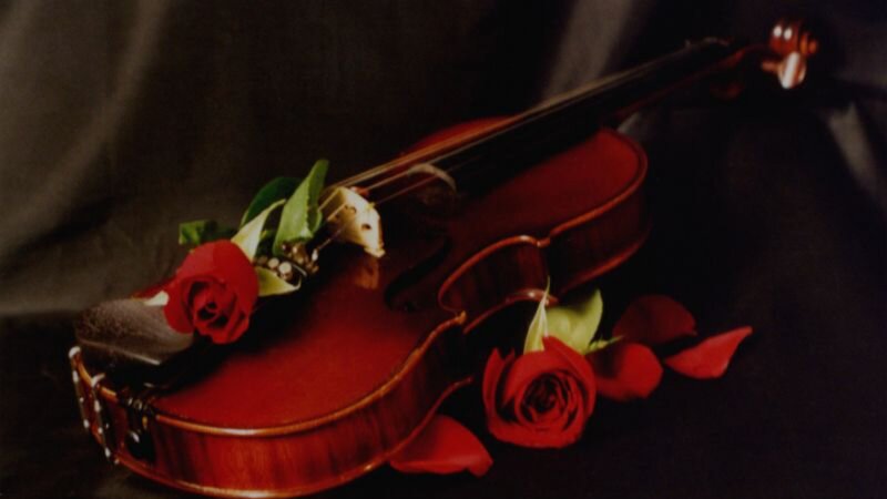 Violin with Red Roses — Dramatic, Photograph, Petals