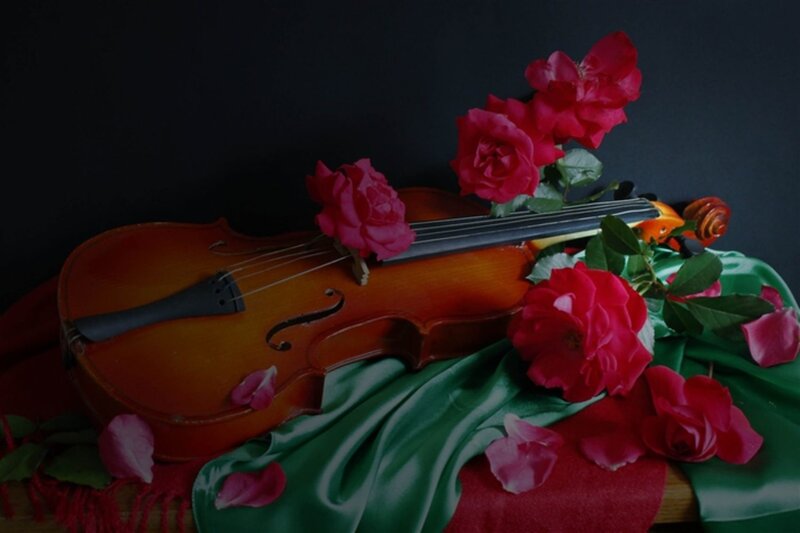 Violin with Red Roses — Dramatic