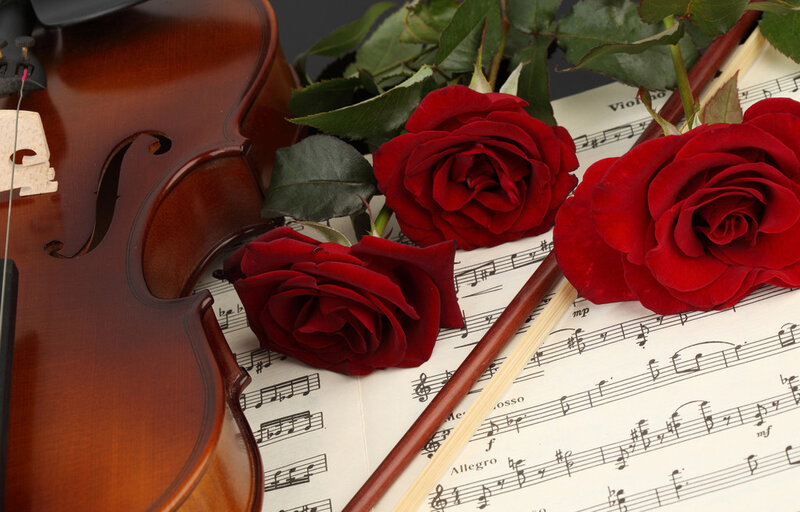 Violin with Red Roses — Romantic, Photograph