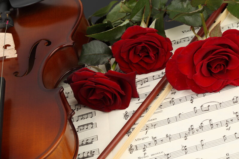 Violin with Red Roses — Romantic