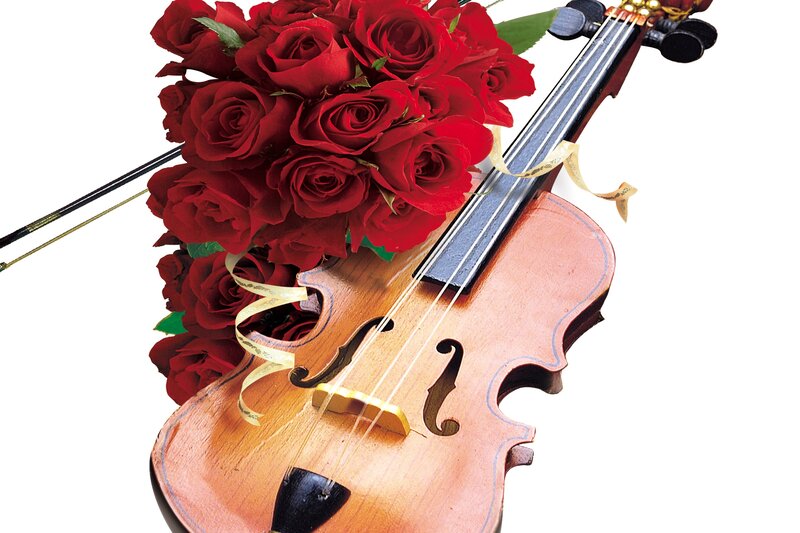 Violin with red roses