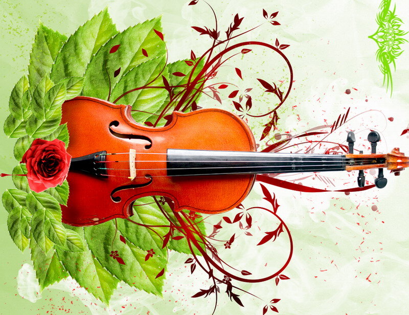 Violin with Rose and Leaves