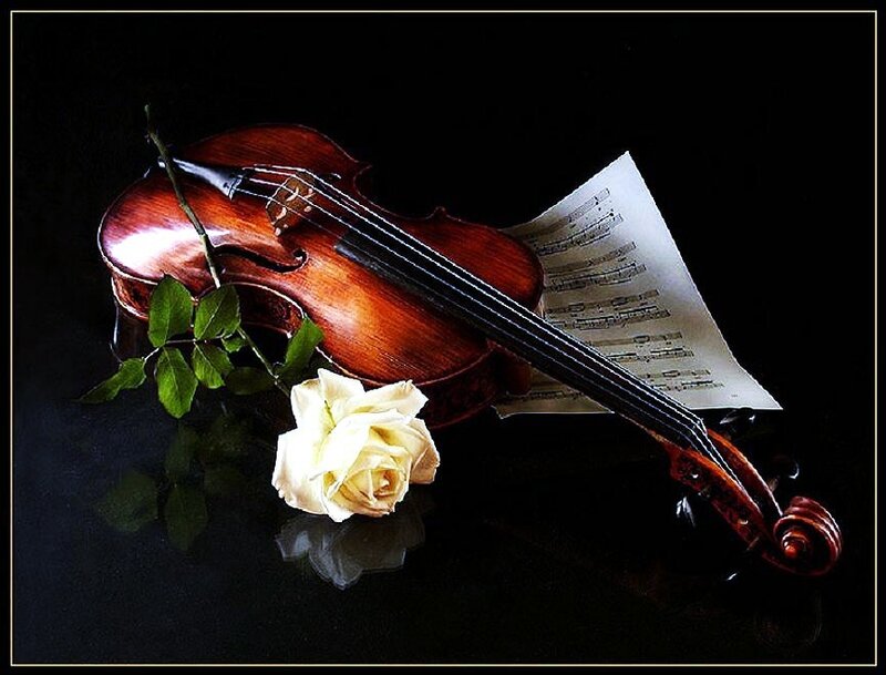 Violin with rose and sheet music