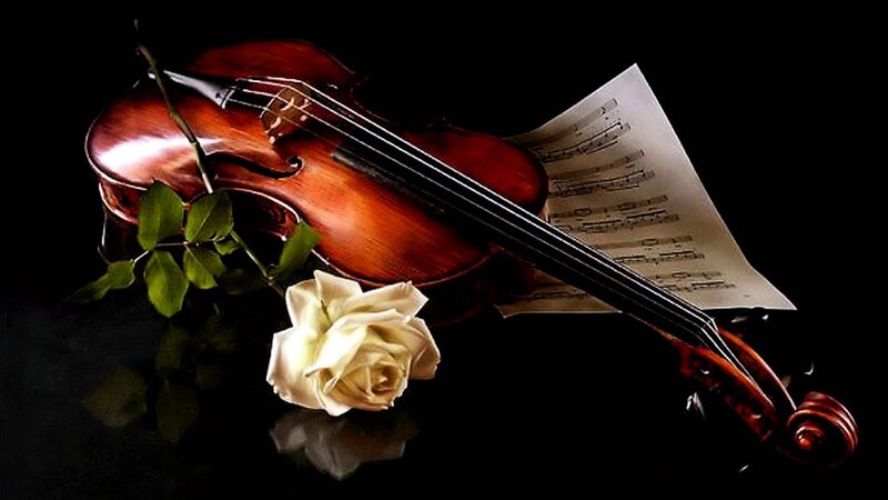 Violin with rose and sheet music