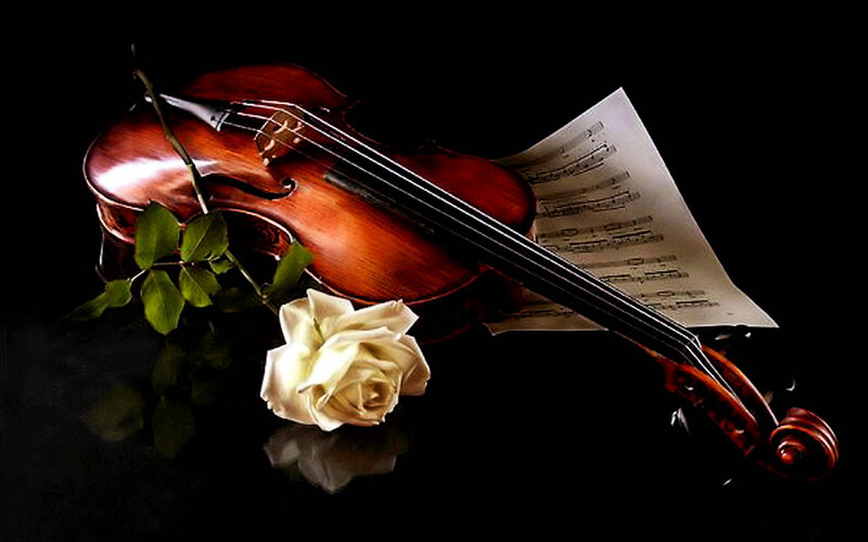 Violin with Rose — Black, Dramatic, Photograph, Sheet Music