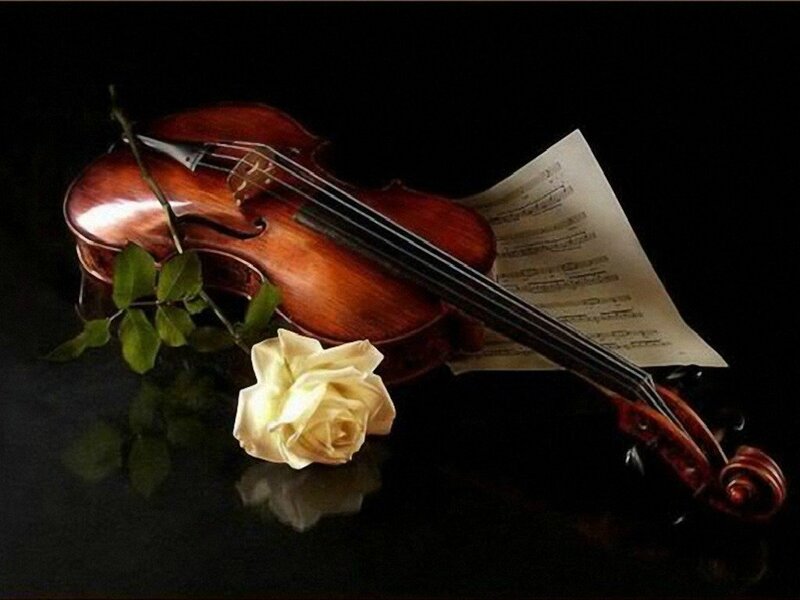 Violin with Rose — Black, Dramatic