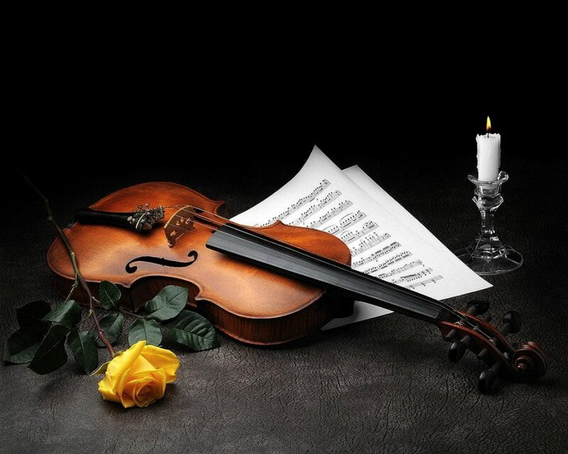 Violin with Rose — Brown, Dramatic, Night