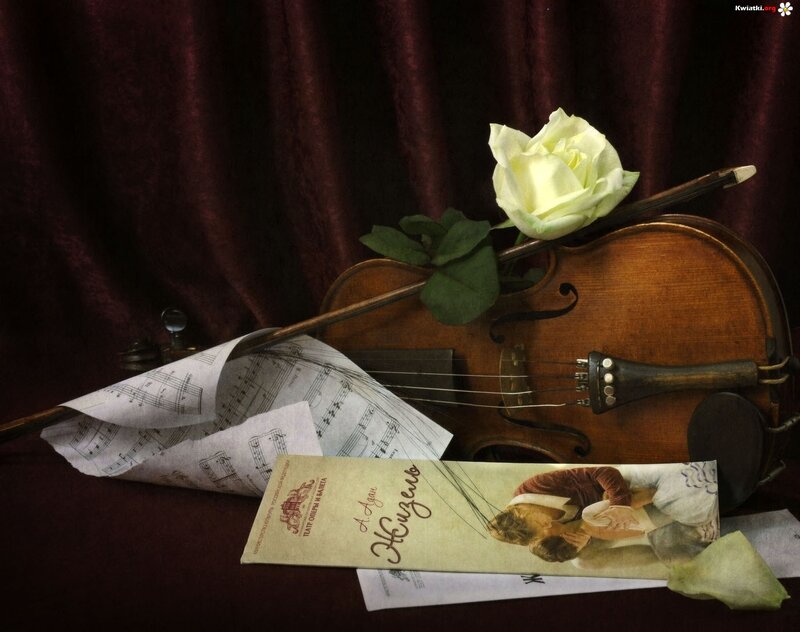 Violin with Rose — Brown, Dramatic