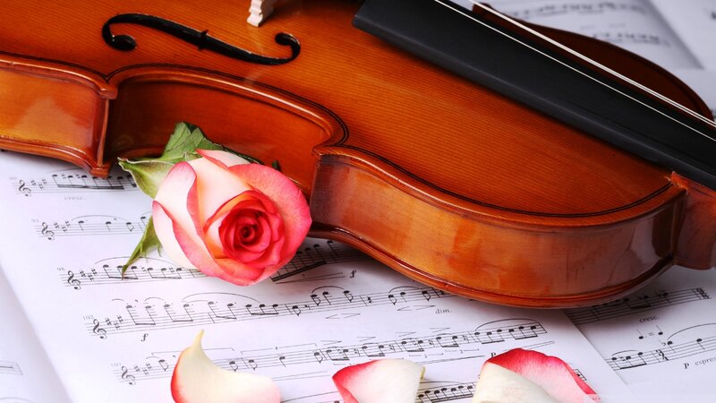 Violin with Rose — Brown, Serene, Photograph
