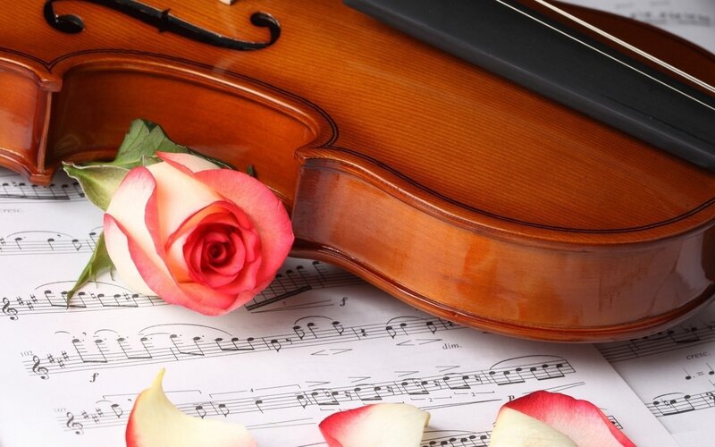 Violin with Rose — Brown, Serene
