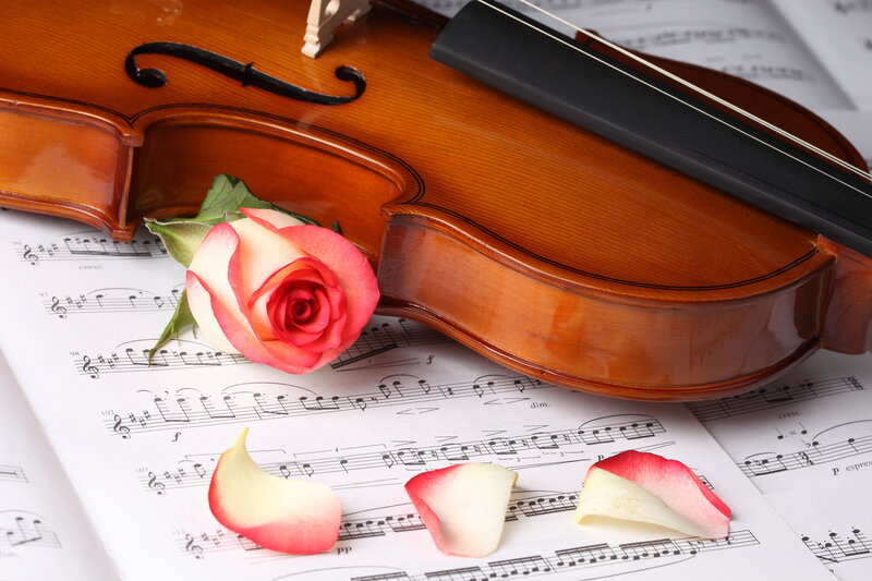 Violin with Rose — Brown