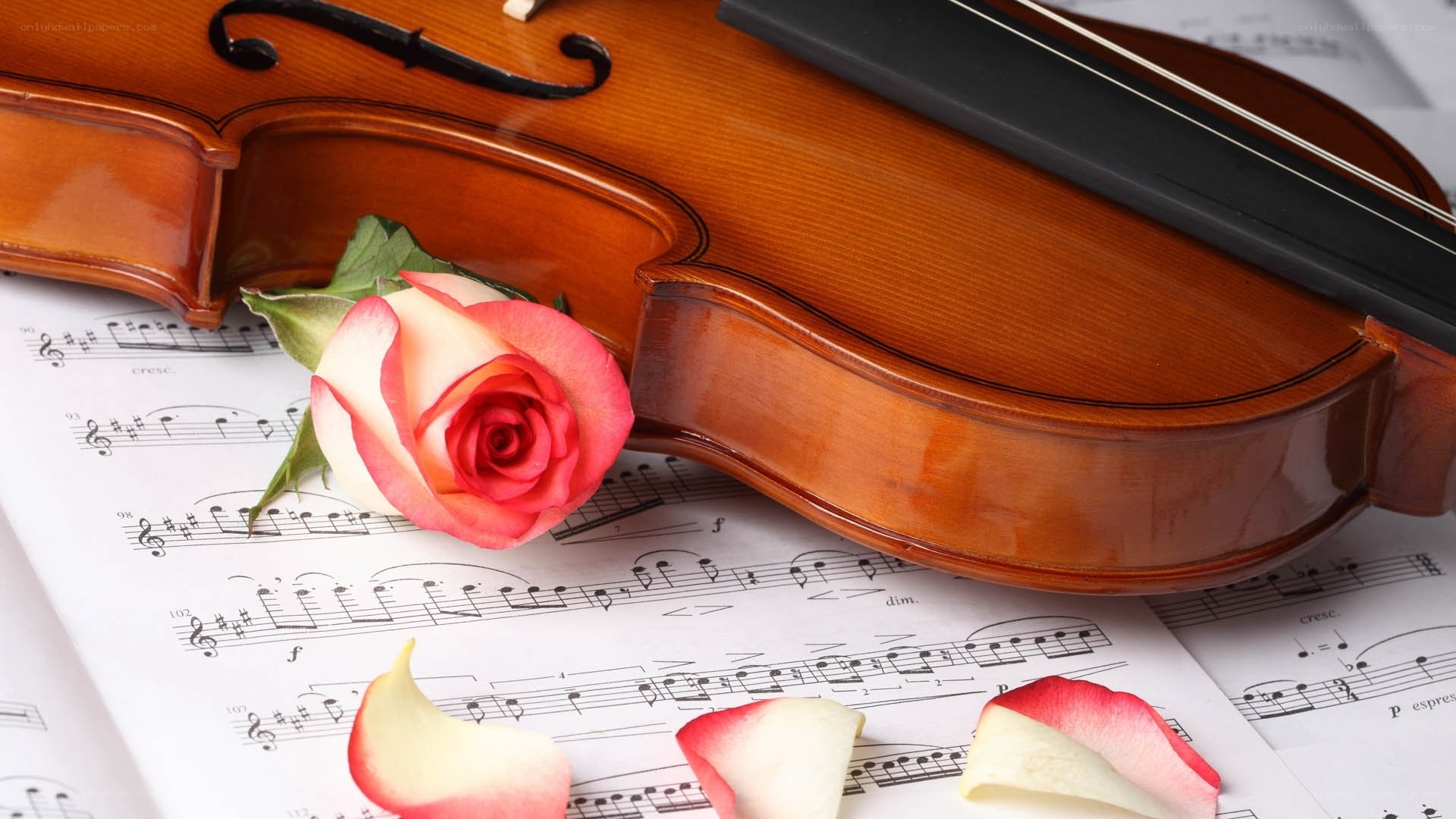 Violin with rose on sheet music