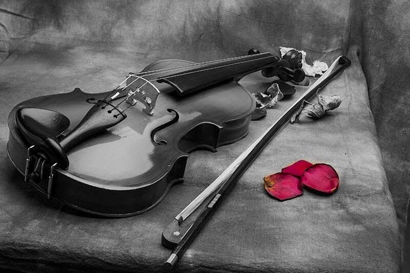 Violin with Rose Petals — Black