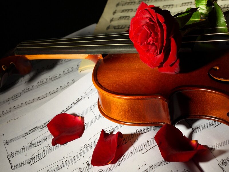 Violin with Rose Petals — Red, Dramatic