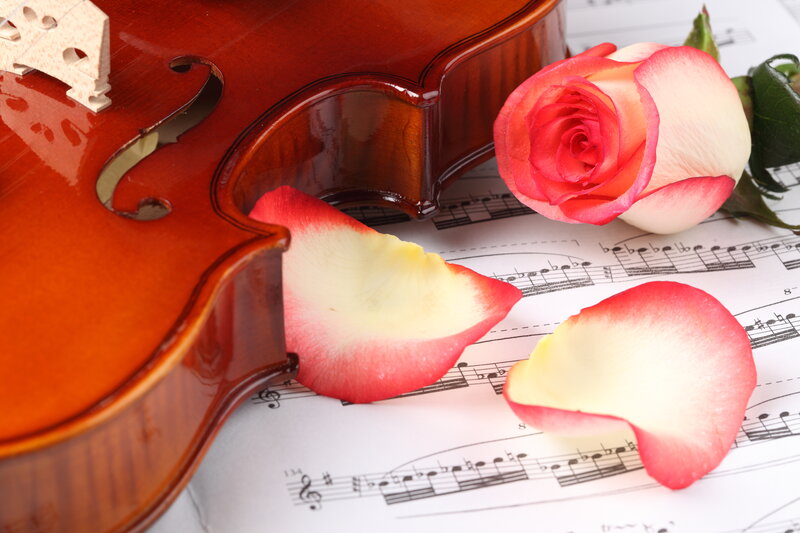 Violin with Rose Petals — Red, Romantic