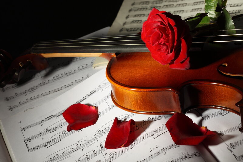 Violin with Rose Petals — Red