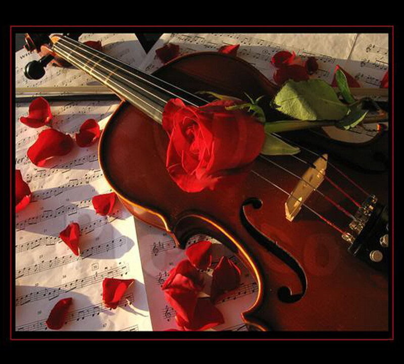 Violin with rose petals